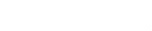 Best Connections Inc